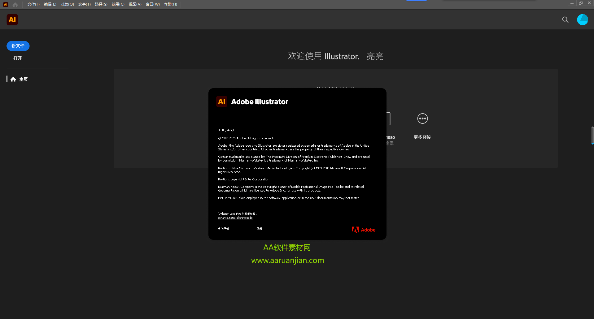 Adobe Illustrator 2026 下载 - 中文版安装包（v30.0）附安装激活教程 图片