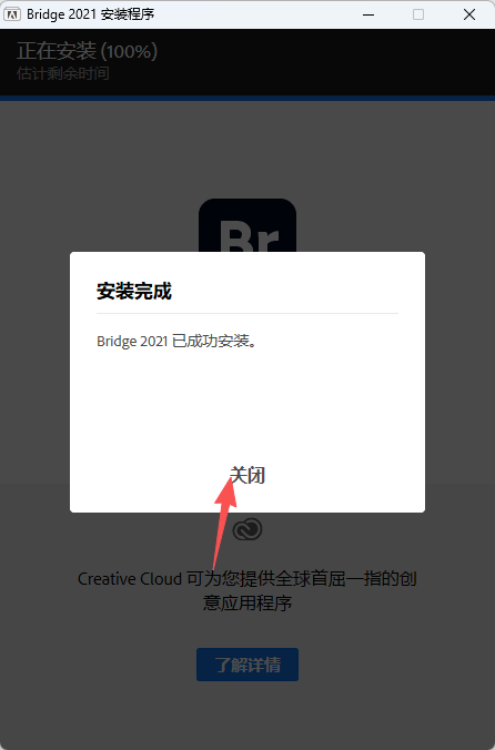 Adobe Bridge 2021 中文版：Windows 安装包教程与资产管理指南 图片