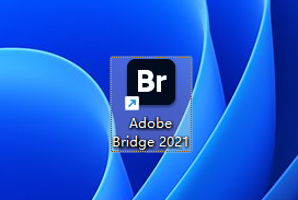 Adobe Bridge 2021 中文版：Windows 安装包教程与资产管理指南 图片