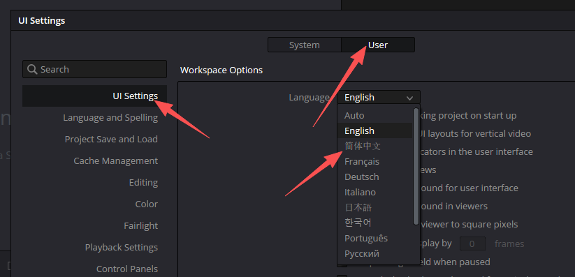 DaVinci Resolve Studio 21.0b1 中文版 图片